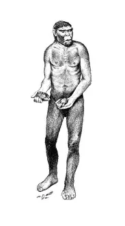 Boxgrove: Homo heidelbergensis, Boxgrove Man