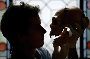 Anthropologist: Homo neanderthalensis, neandertal man