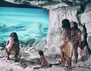 Neanderthal: Homo neanderthalensis, Neanderthal man model