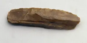 Flake: Homo neanderthalensis, Neanderthal man's flake tool