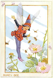 Honey Bee Fairy