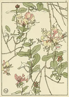 Pochoir: Honeysuckle
