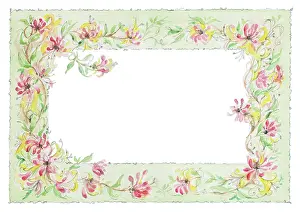 Honeysuckle: Honeysuckle border design