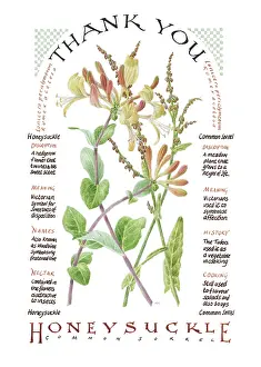 Listing: Honeysuckle and Sorrel ? Thank you