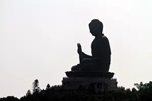 Buddhas: Hong Kong