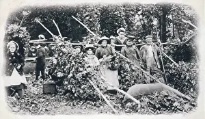 Pickers: HOP PICKERS 1900