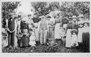 Pickers: HOP PICKERS 1905