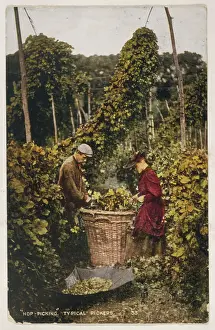 Hops: HOP PICKERS 1907