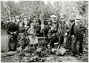 Flap: Hop pickers in Kent 1911
