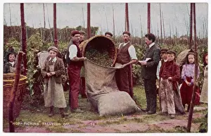Tally: HOP PICKERS TALLY OFF