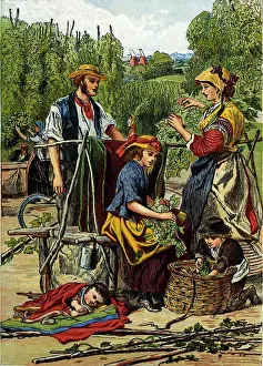 Pick: Hop Picking