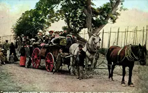 Londoners: Hop Picking, Cranbrook, Kent