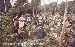 Boughton: Hop Picking in Kent - Boughton District