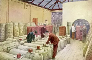 Sampling: Hop Sampling at the Guinness Brewery in Dublin, Ireland