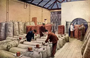 Grocer: Hop-sampling warehouse, Arthur Guinness, Son &