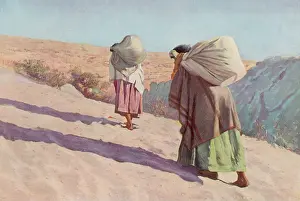 Northeastern: HOPI FETCH WATER