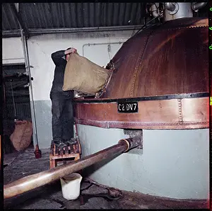 Mcmullens: Hops being added to a copper boiling kettle (brew