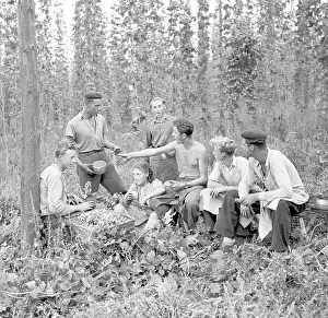Depends: Hops harvest