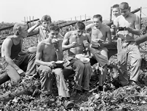 Saroch: Hops picking - harvest - beer ingredience - lunch break