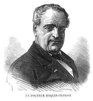 Benedict: HORACE MOQUIN-TANDON