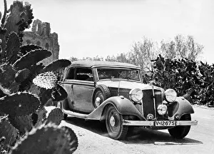 Cacti: Horch car in the desert, 1936