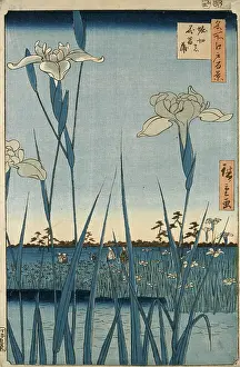 Tonal: Horikiri Iris Garden