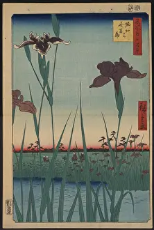 Horikiri: Horikiri iris garden