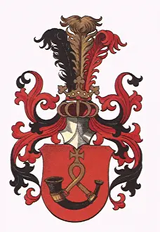 Surmounted: Horn Crest