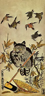 Suggested: Horned Owl and Sparrows