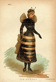 Antennae: The Hornet