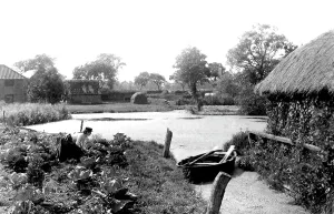 Horning: Horning, 1902