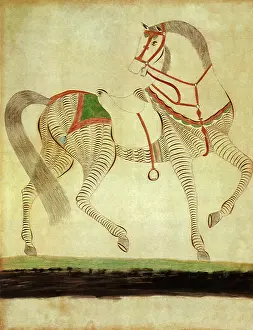 Equines: Horse