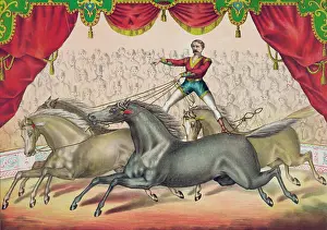 C1874: The four horse act
