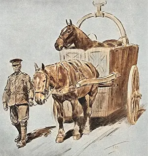Horse ambulance, First World War