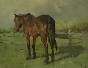 Herbivores: Horse, by Anton Mauve