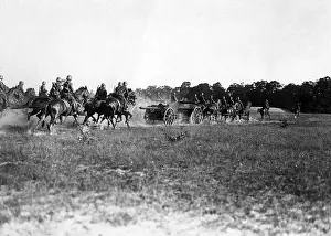 Trumpeter: Horse artillery of the Reichswehr during an exercise