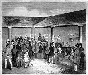 Tattersall: HORSE AUCTION 1845