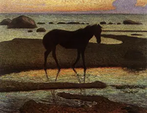 Equines: Horse by the Beach, Summer Evening