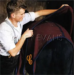 Ostlers: HORSE BLANKET