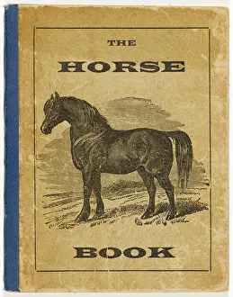 Correct: THE HORSE BOOK 1877
