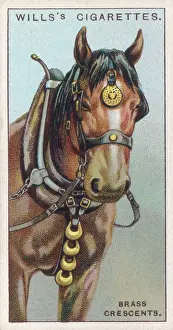 Favoured: HORSE BRASSES