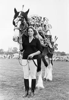 Brasses: Horse with brasses at a County Show, Cornwall