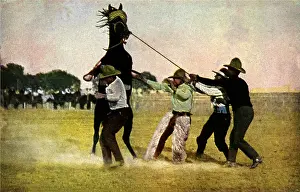 Struggling: Horse Breaking