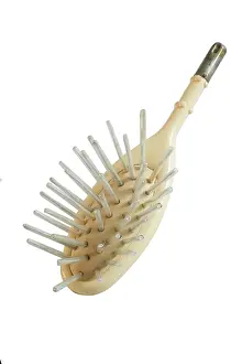 Gizmo: Horse Brush