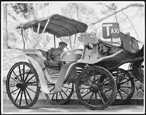 Cabbie: HORSE CAB IN MAJORCA