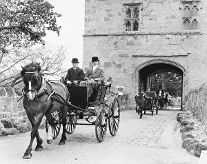 Chaises: HORSE CARRIAGE RALLY