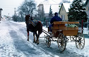Negotiates: Horse carriage - winter - snow