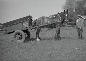 Briggs: Horse and cart with owner