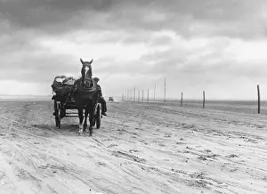 Lindisfarne: HORSE & CART ON SANDS
