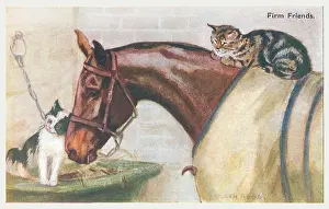 Geographia: Horse & Two Cats